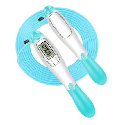 Professional portable smart skipping rope