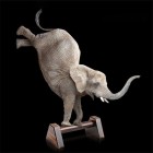 Carbide Wood Push-up Stand